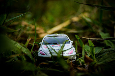 Close-up of toy car on field