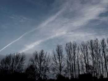 Low angle view of silhouette trees against sky