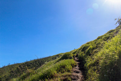 Scenic view of landscape against clear blue sky