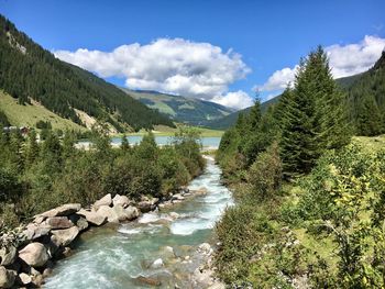 Scenic view of river amidst trees against sky