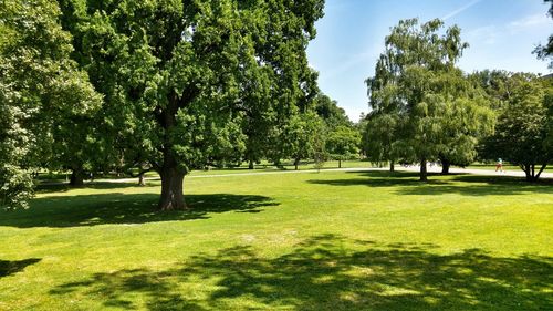 Trees on golf course against sky