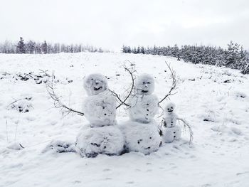 Snow covered land and trees on field during winter