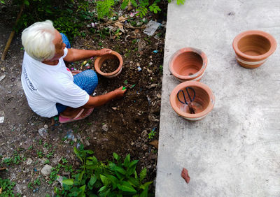 High angle view of woman holding plants in yard