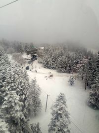 High angle view of snow covered land and trees