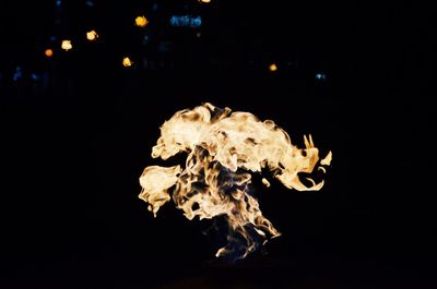 Close-up of fire against black background