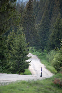 Man on road passing through forest