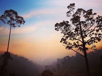 Scenic view of landscape against sky at sunset