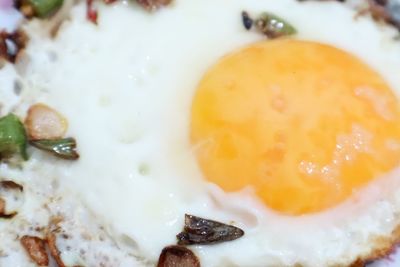 Close-up of breakfast served in plate