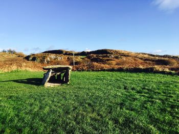 Scenic view of field against clear sky