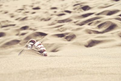 Close-up of foot in sand