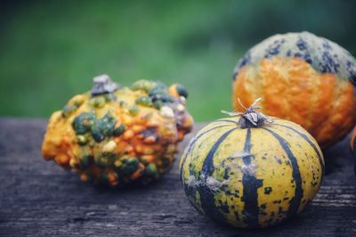 Close-up of pumpkins on table