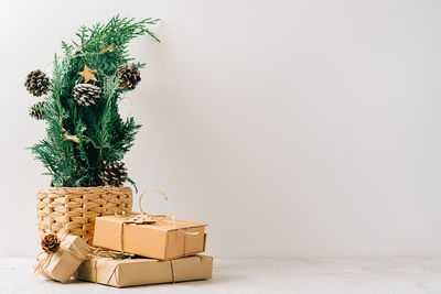 Close-up of christmas tree against white background