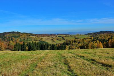 Scenic view of field against blue sky