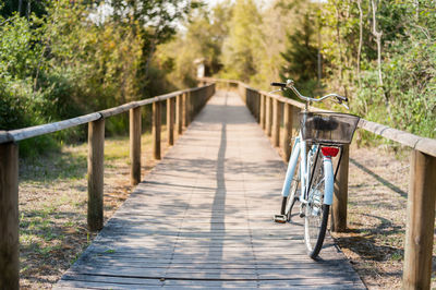 Footbridge over footpath amidst trees in forest