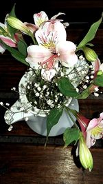 Close-up of white flowers