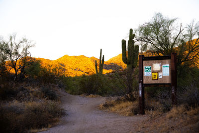 Road amidst trees on field against clear sky during autumn