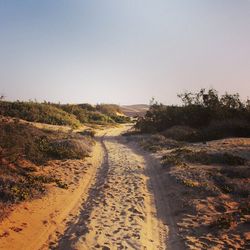 Dirt road passing through landscape