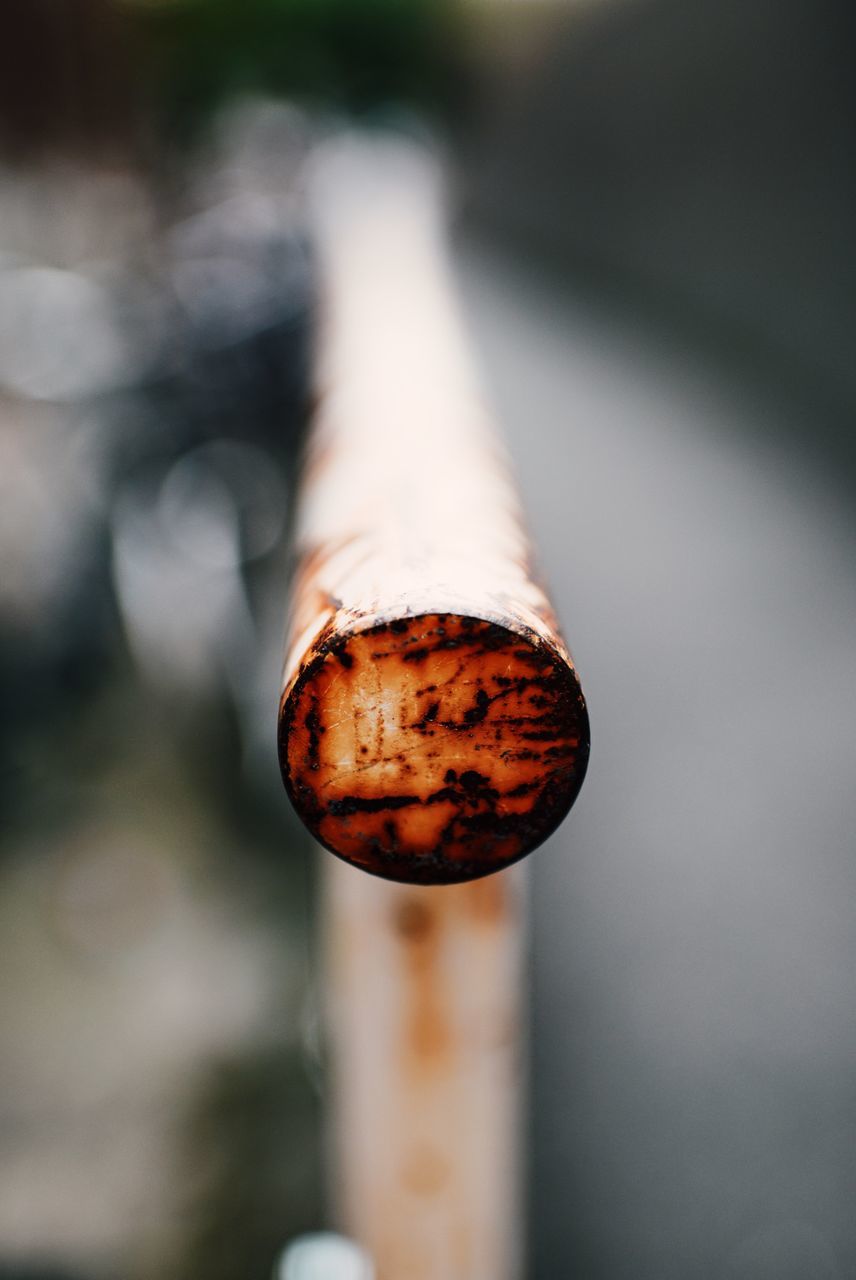 close-up, focus on foreground, selective focus, rusty, snail, metal, outdoors, single object, wood - material, nature, animal shell, no people, day, old, metallic, weathered, abandoned, one animal, shell, damaged