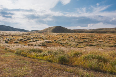 Scenic view of landscape against sky