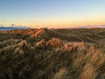 Scenic view of grassy field against sky during sunset