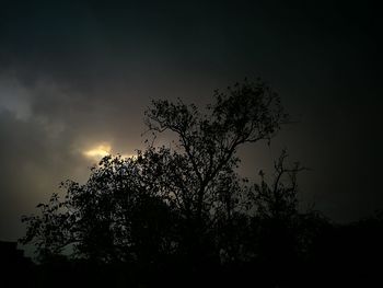 Low angle view of silhouette tree against sky at sunset