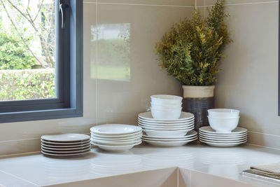 Stack of potted plants on table