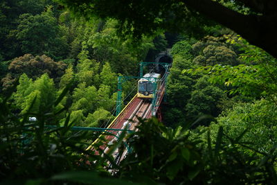 Low angle view of bridge amidst trees in forest