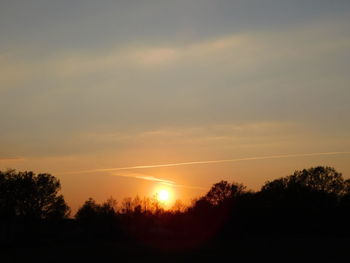 Silhouette trees against sky during sunset