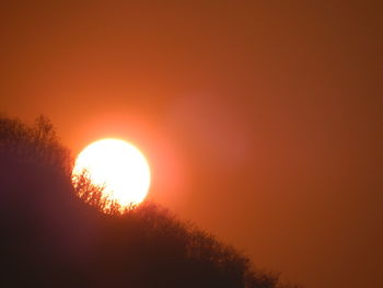 Low angle view of silhouette trees against orange sky