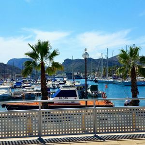 Boats in harbor