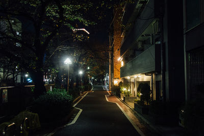 Street by buildings at night