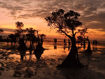 Silhouette trees on beach against sky during sunset