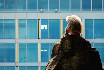 Rear view of woman standing against window