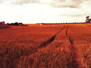 Hay bales on field against cloudy sky