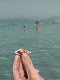 Shell on beach