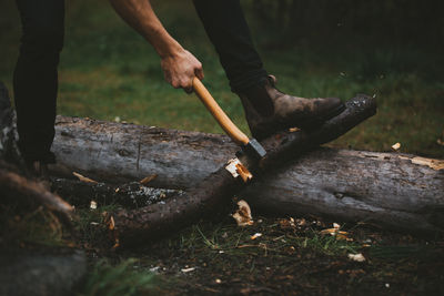 Low section of man cutting wood in forest