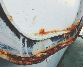 Close-up of turtle in boat