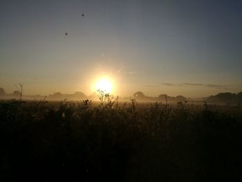 Silhouette plants on field against sky during sunset