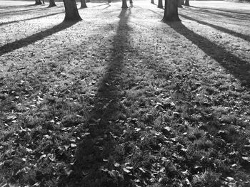 High angle view of shadow on field in park