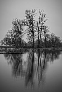 Reflection of trees in lake against sky