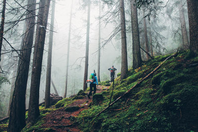 People in forest against sky