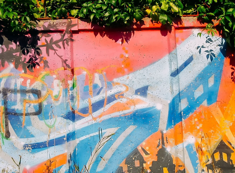 graffiti, creativity, multi colored, art, wall - building feature, street art, architecture, no people, day, mural, paint, built structure, urban area, outdoors, vandalism, text, city, painting, spray paint, plant, building exterior, tree, nature, wall