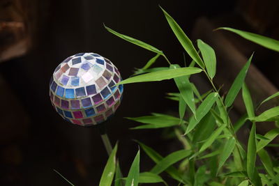 Close-up of multi colored ball on grass