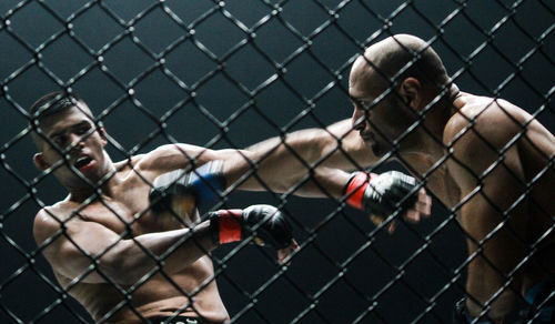 Two men on chainlink fence