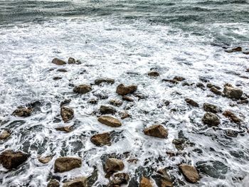 Close-up high angle view of sea