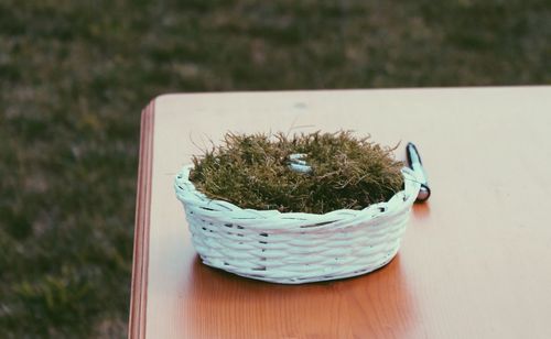 High angle view of potted plant on table