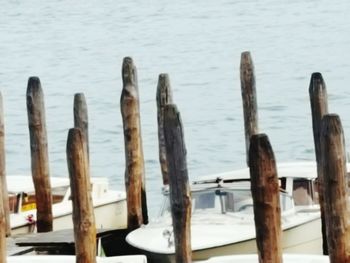 Wooden posts in the lake