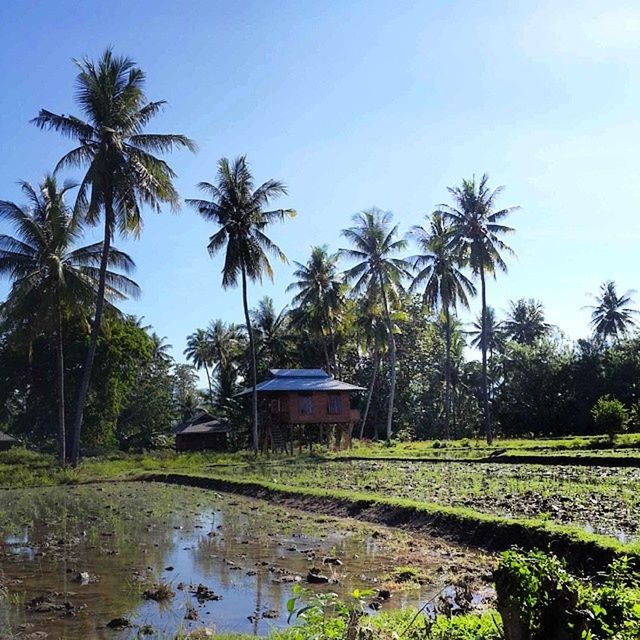 Lndonesia