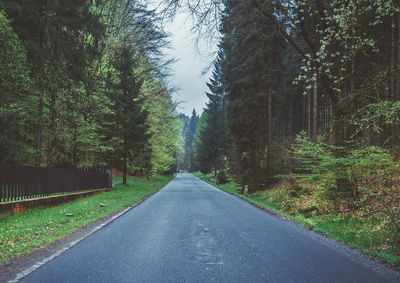 Empty road along trees in forest