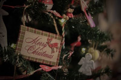 Close-up of christmas decorations hanging on tree